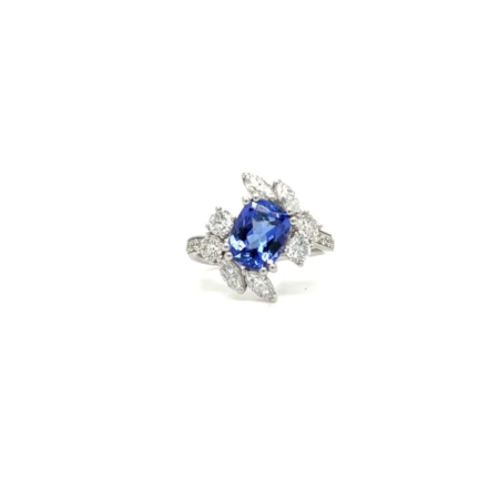 Alberti
Ring