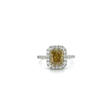 Alberti 
 Entourage ring
