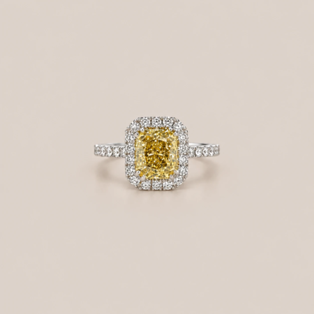 Alberti 
 Entourage ring
