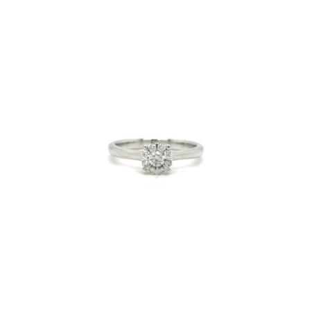 Alberti 
 Roset ring