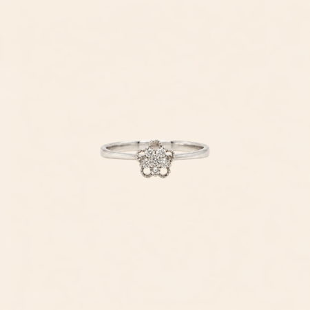 Alberti
Ring