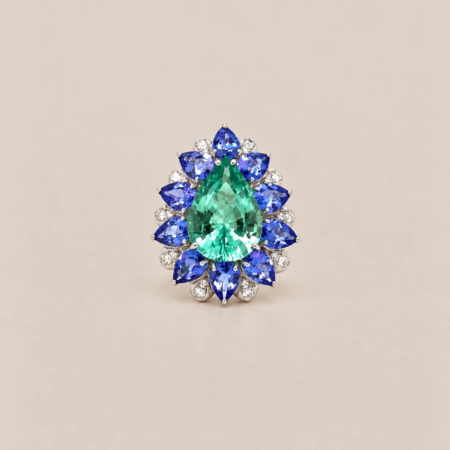 Artur Scholl 
Ring
