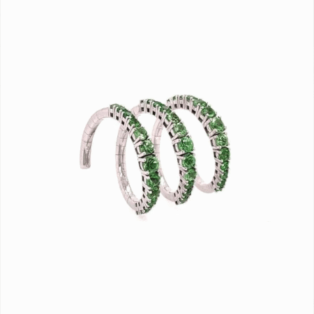 Hans D. Krieger 
Ring