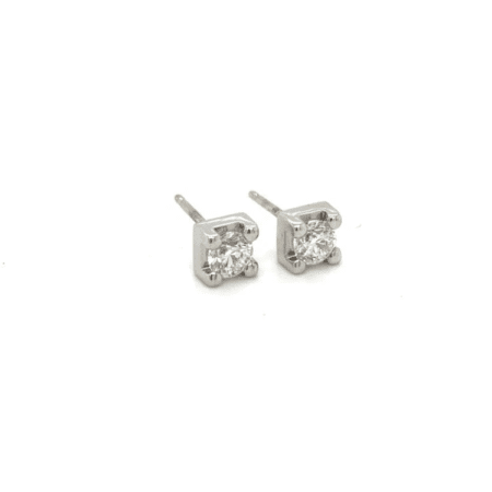 Pijnenburg Collection 
Oorstekers