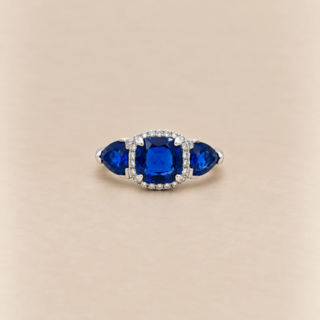 Pijnenburg Collectie
Ring